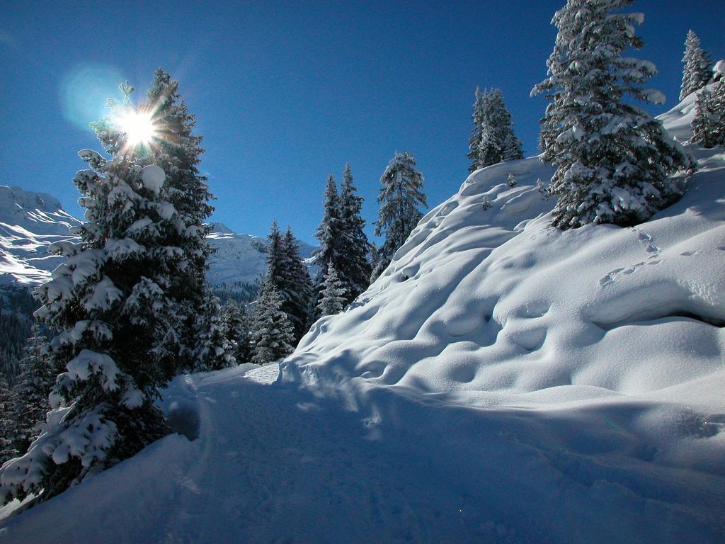 Hotel Alpina Валс Екстериор снимка